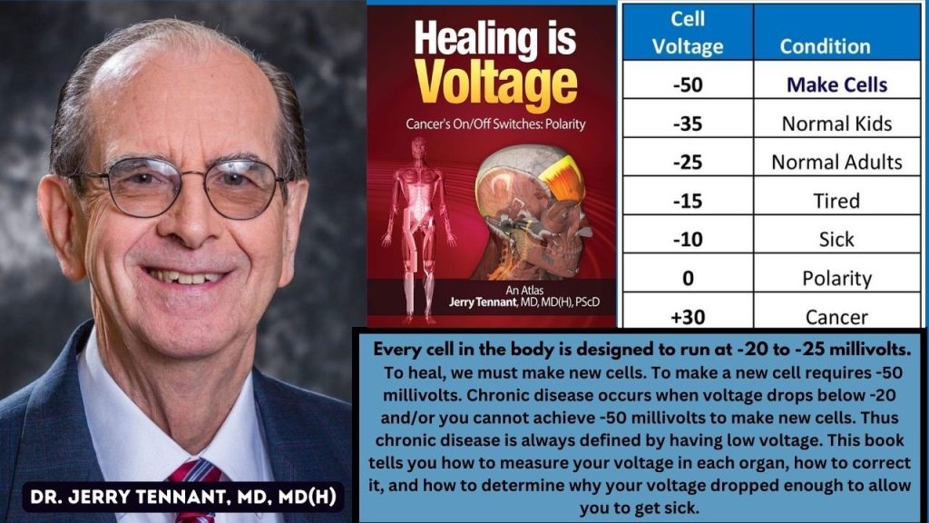 Lofent Water Ionizer